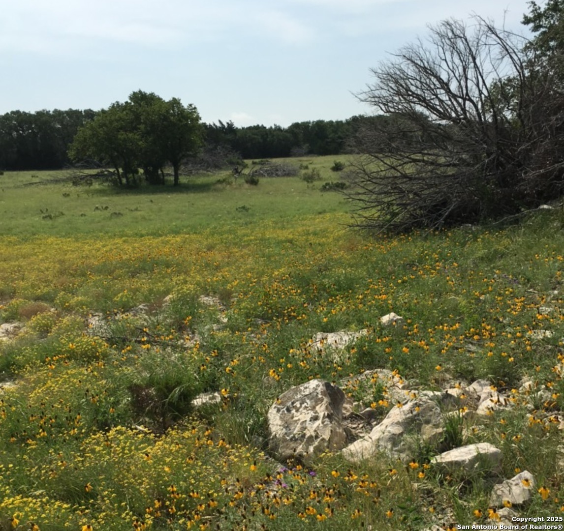 0 0 Rocksprings TX 78880