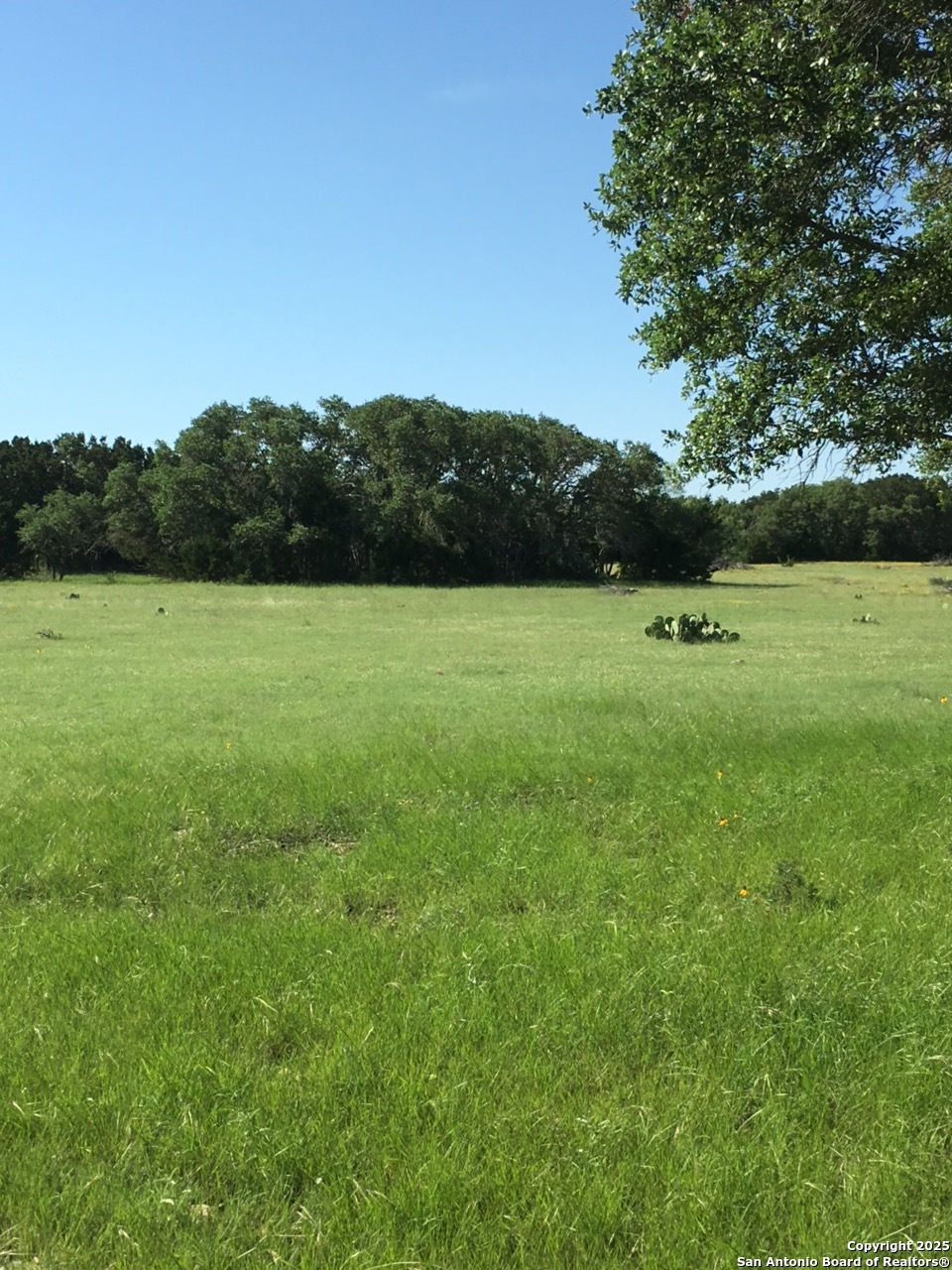 0 0 Rocksprings TX 78880