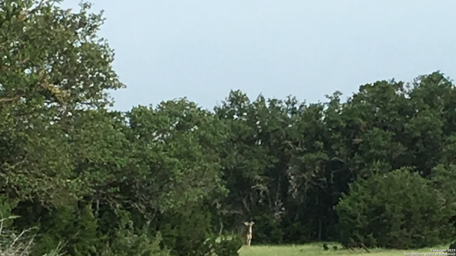0 0 Rocksprings TX 78880