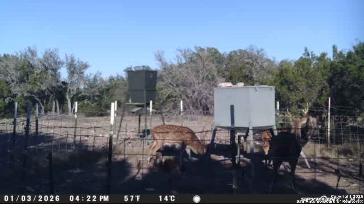 0 0 Rocksprings TX 78880
