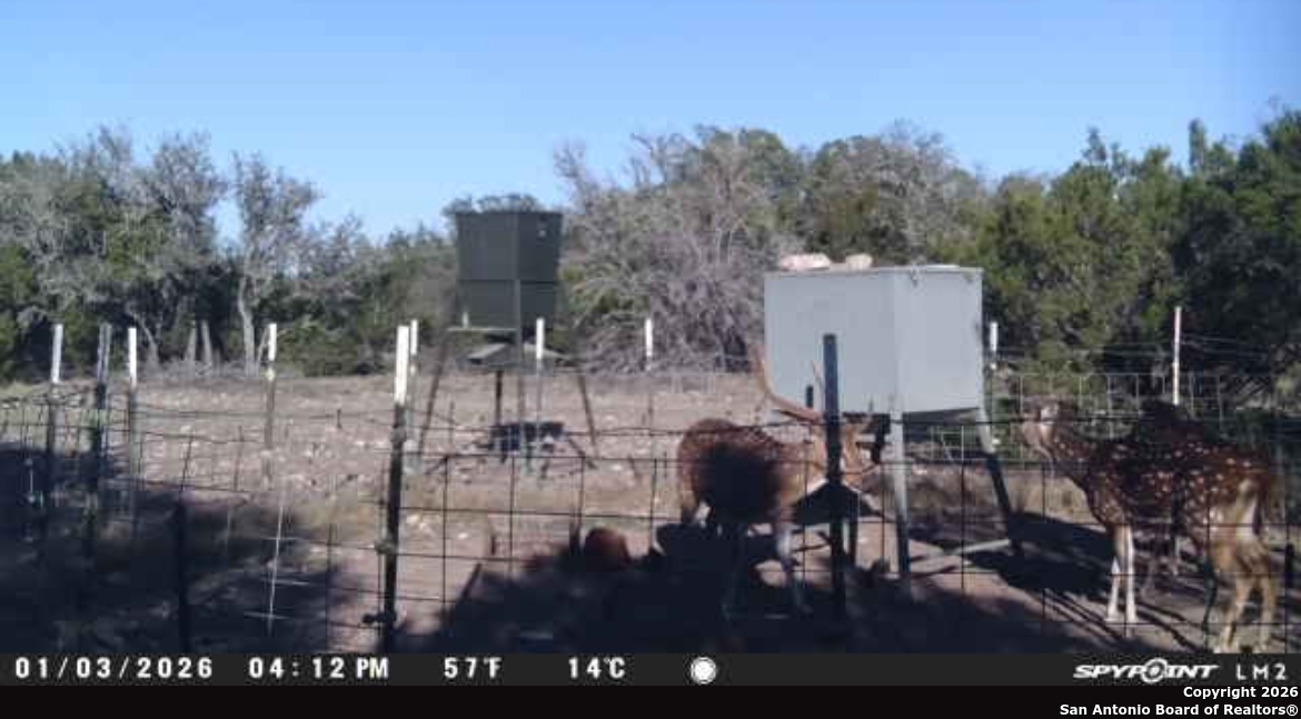 0 0 Rocksprings TX 78880
