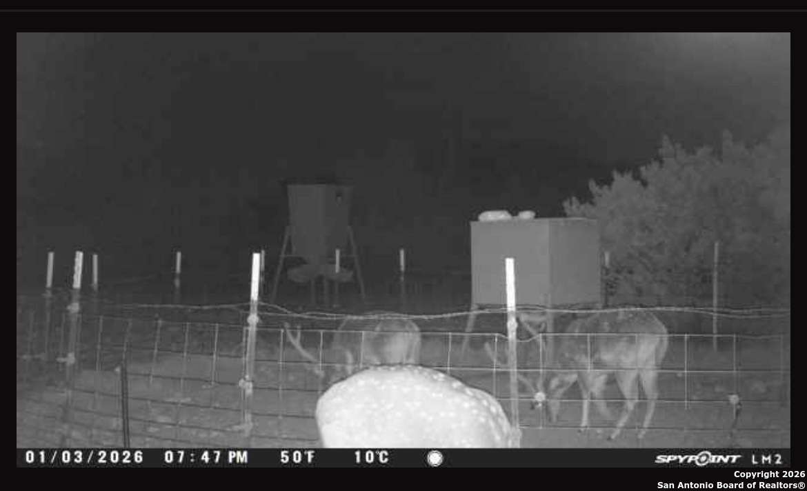 0 0 Rocksprings TX 78880