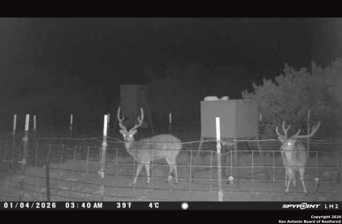 0 0 Rocksprings TX 78880
