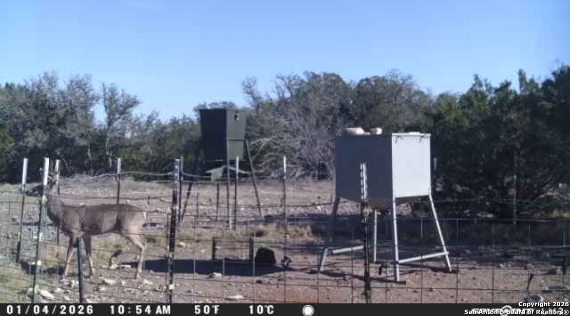 0 0 Rocksprings TX 78880