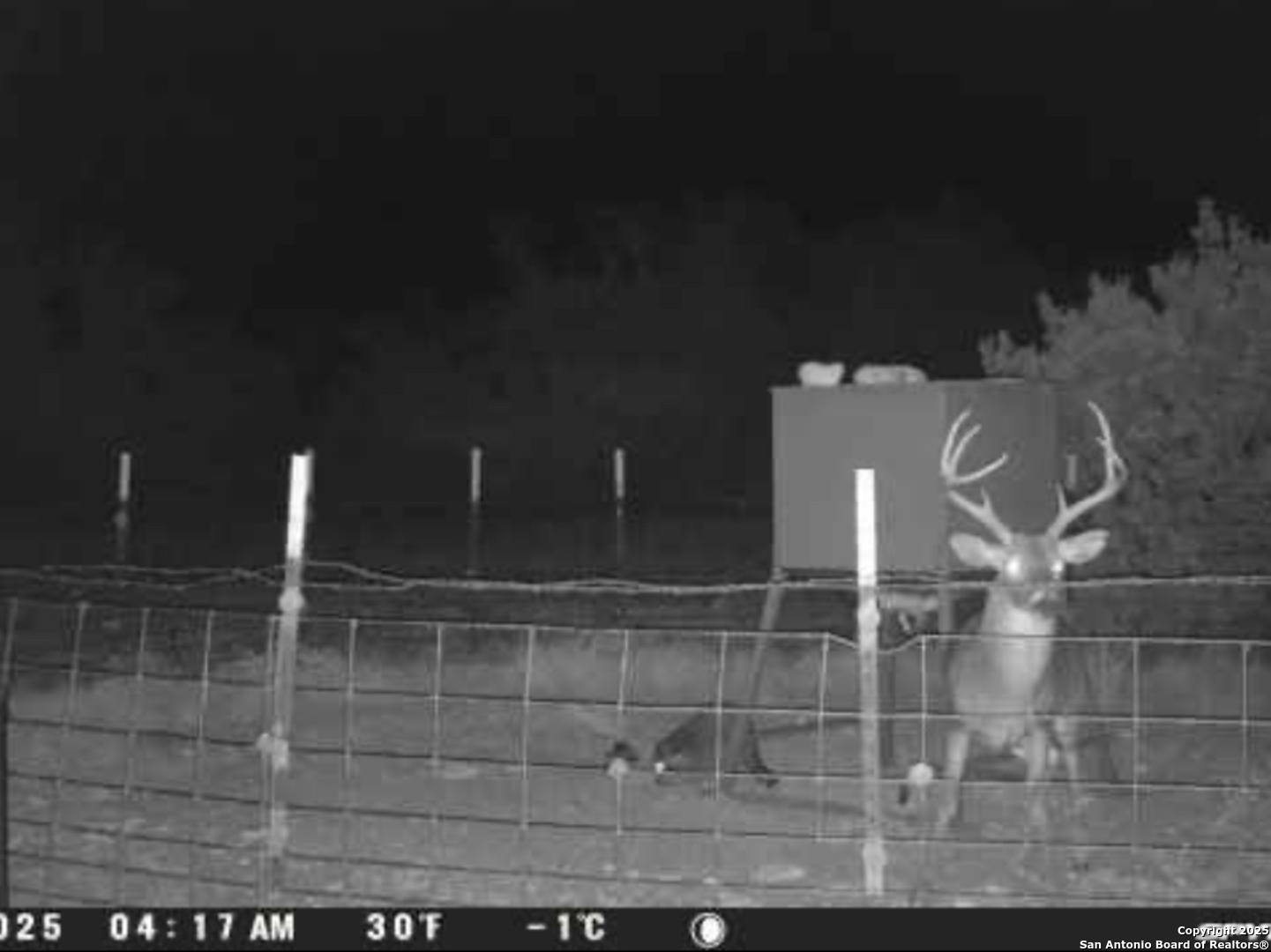 0 0 Rocksprings TX 78880