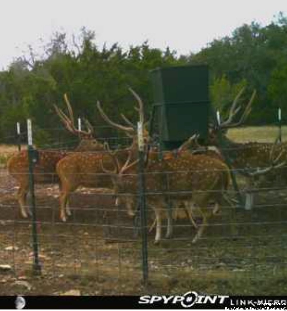 0 0 Rocksprings TX 78880