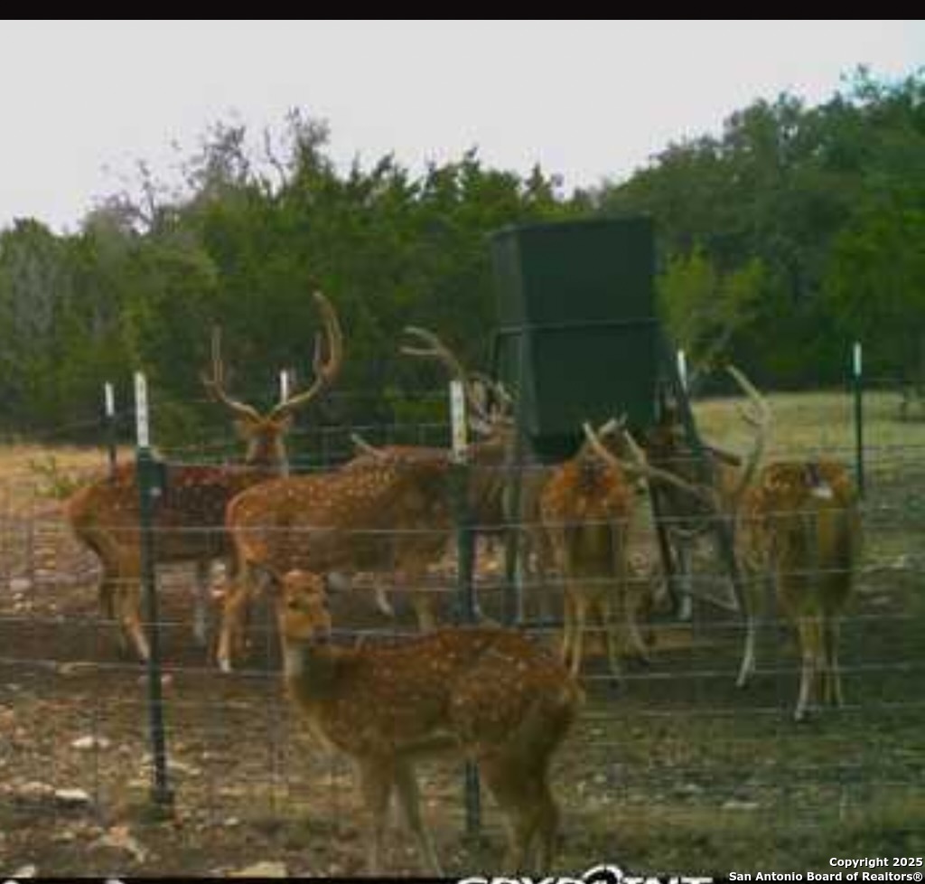 0 0 Rocksprings TX 78880