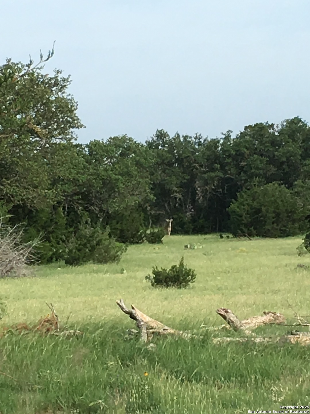 0 0 Rocksprings TX 78880