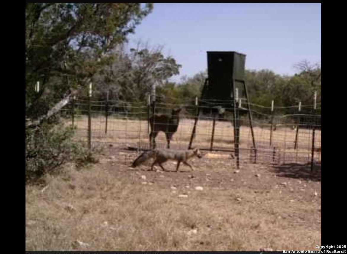 0 0 Rocksprings TX 78880