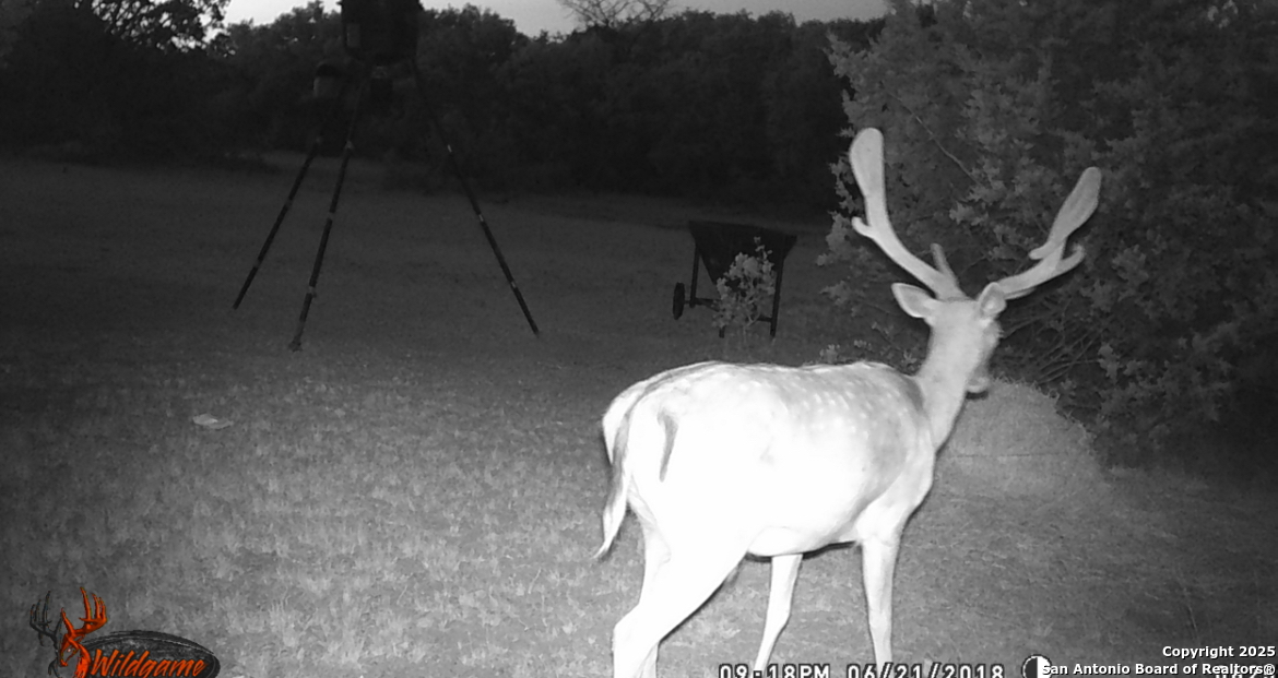 0 0 Rocksprings TX 78880