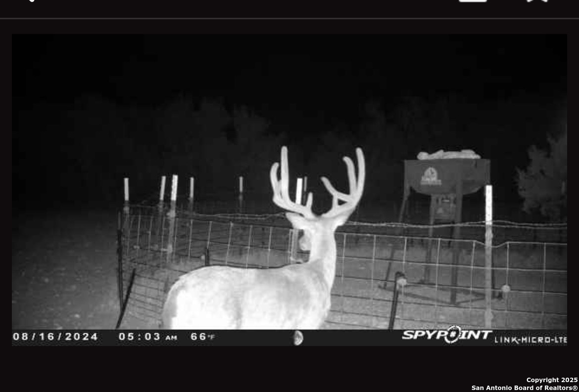 0 0 Rocksprings TX 78880