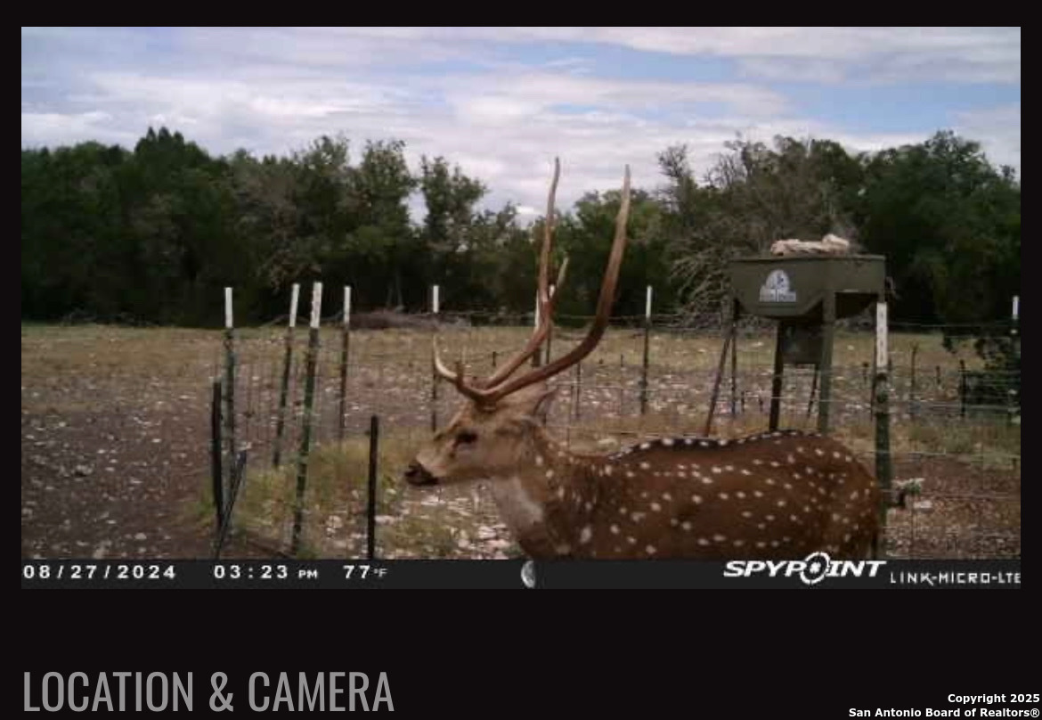 0 0 Rocksprings TX 78880