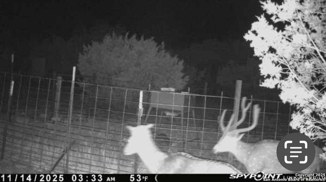 0 0 Rocksprings TX 78880