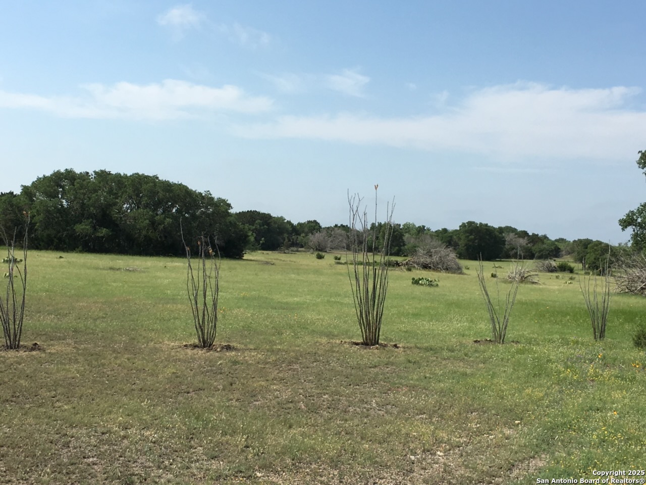 0 0 Rocksprings TX 78880