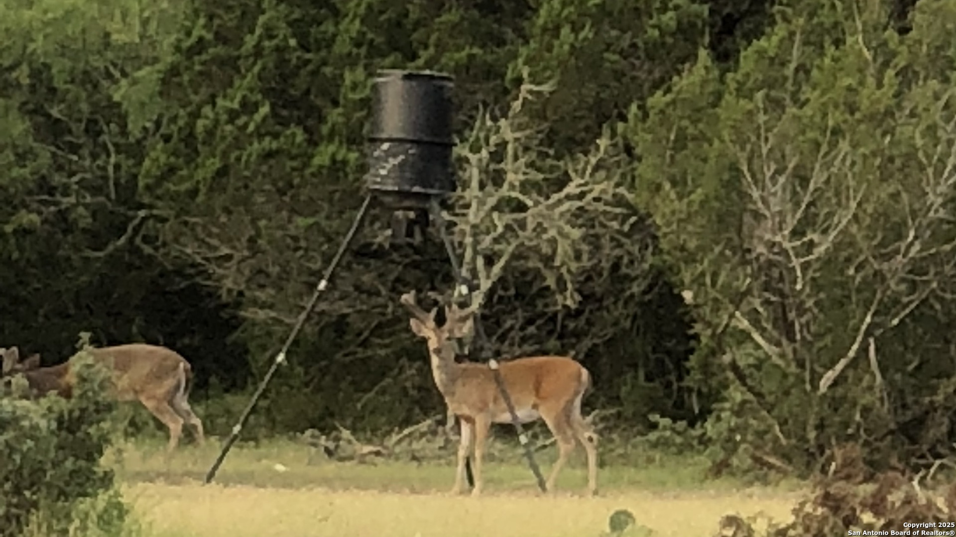 0 0 Rocksprings TX 78880