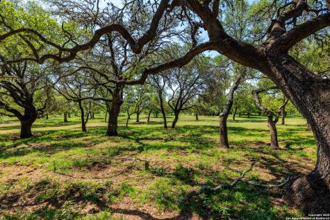 1114 Meadowlark Drive Fredericksburg TX 78624
