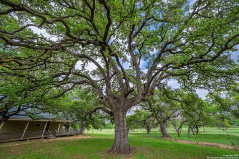 1114 Meadowlark Drive Fredericksburg TX 78624