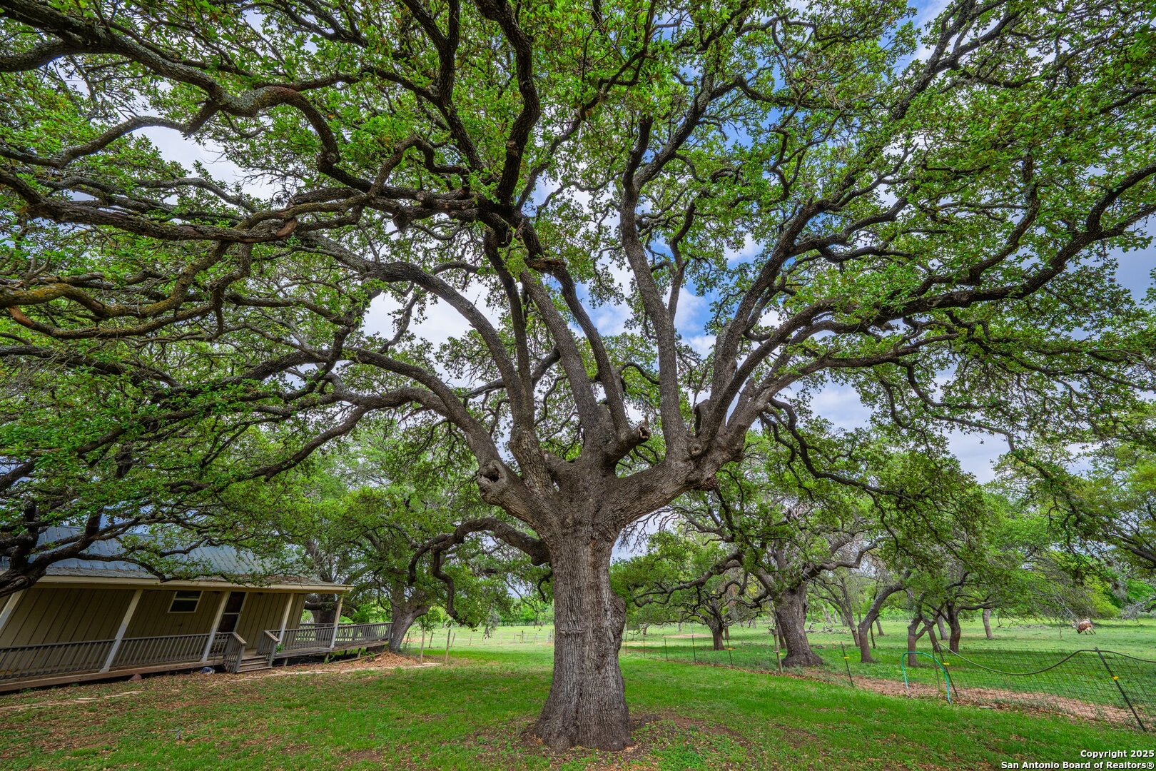 1114 Meadowlark Drive Fredericksburg TX 78624