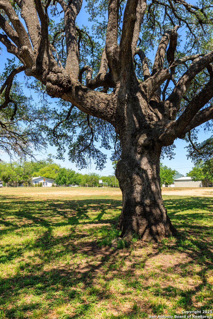 1114 Meadowlark Drive Fredericksburg TX 78624