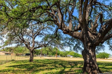 1114 Meadowlark Drive Fredericksburg TX 78624