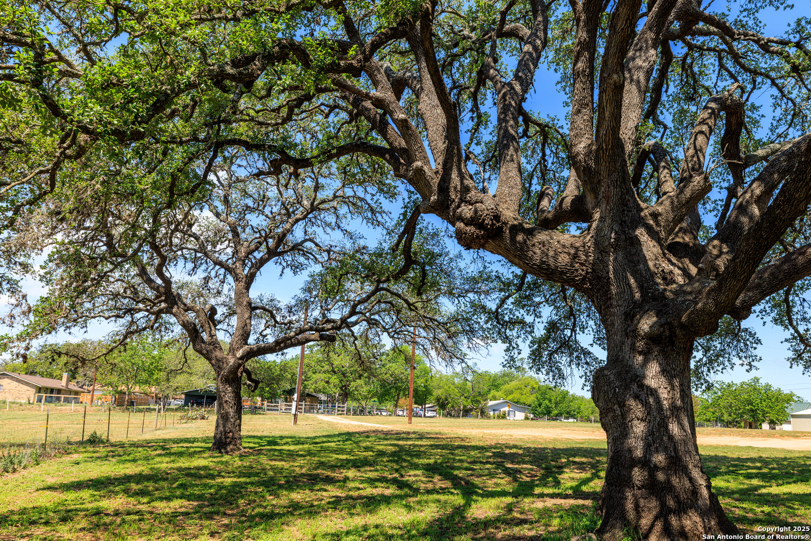 1114 Meadowlark Drive Fredericksburg TX 78624