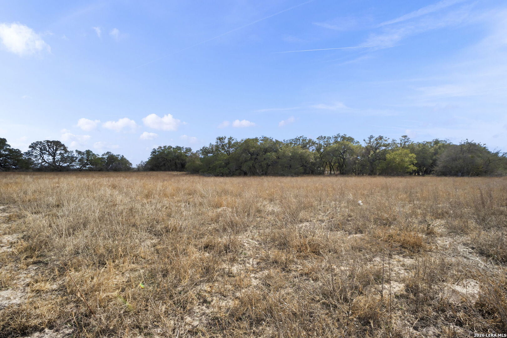 246 Shamrock Dr., Floresville TX 78114