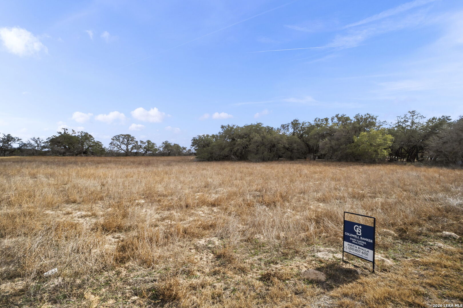 246 Shamrock Dr., Floresville TX 78114