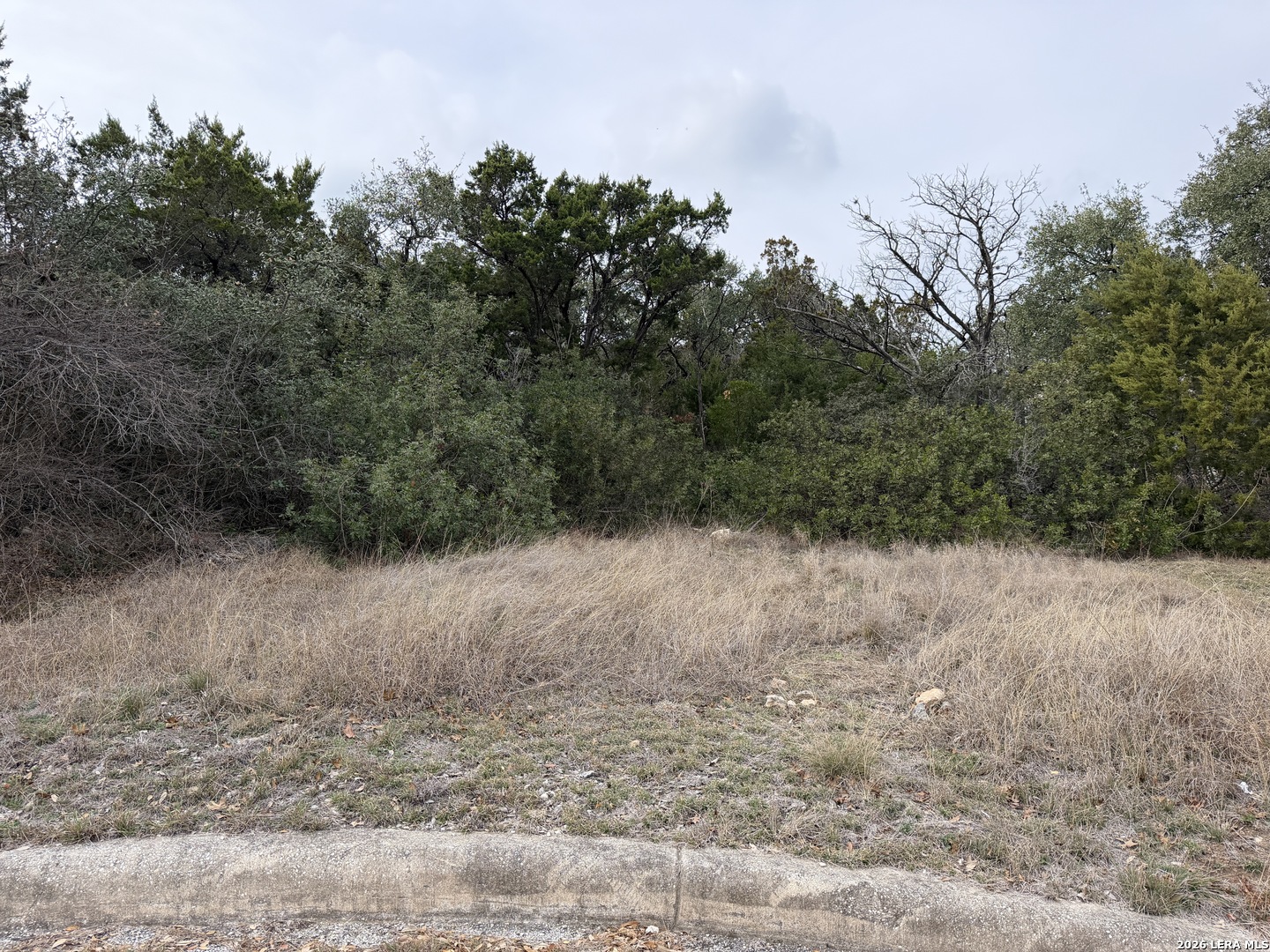 19011 Snuggle Cliff San Antonio TX 78255
