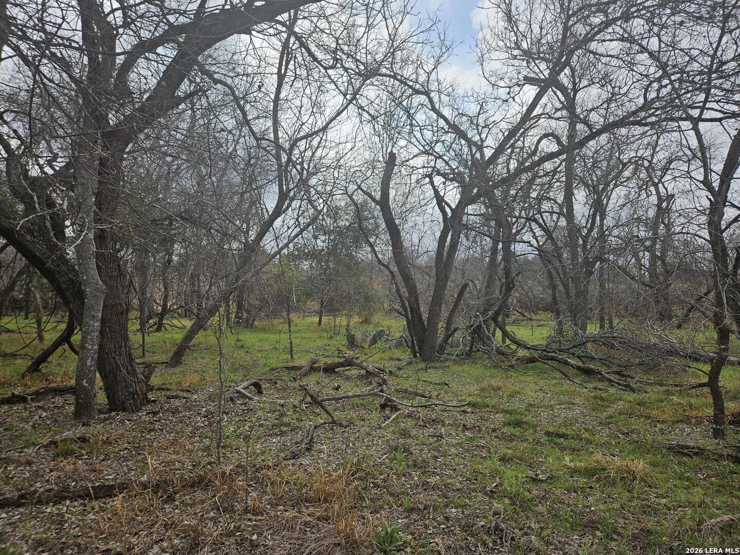2026 3rd Floresville TX 78114