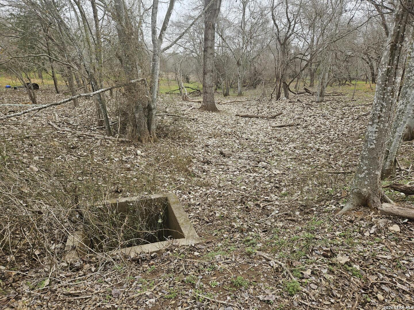 2026 3rd Floresville TX 78114