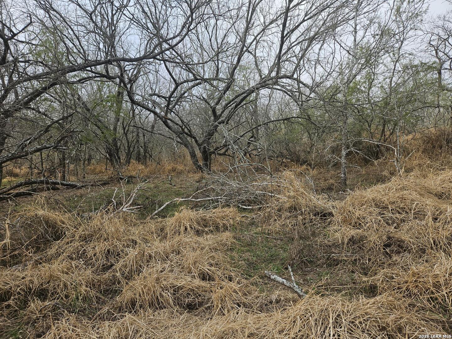 2026 3rd Floresville TX 78114