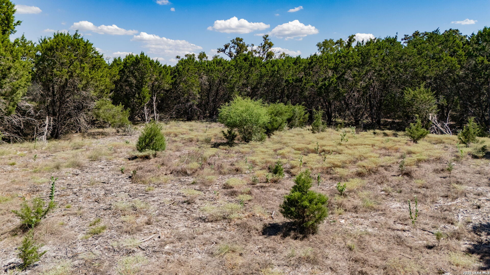 73 Cordillera Springs Boerne TX 78006