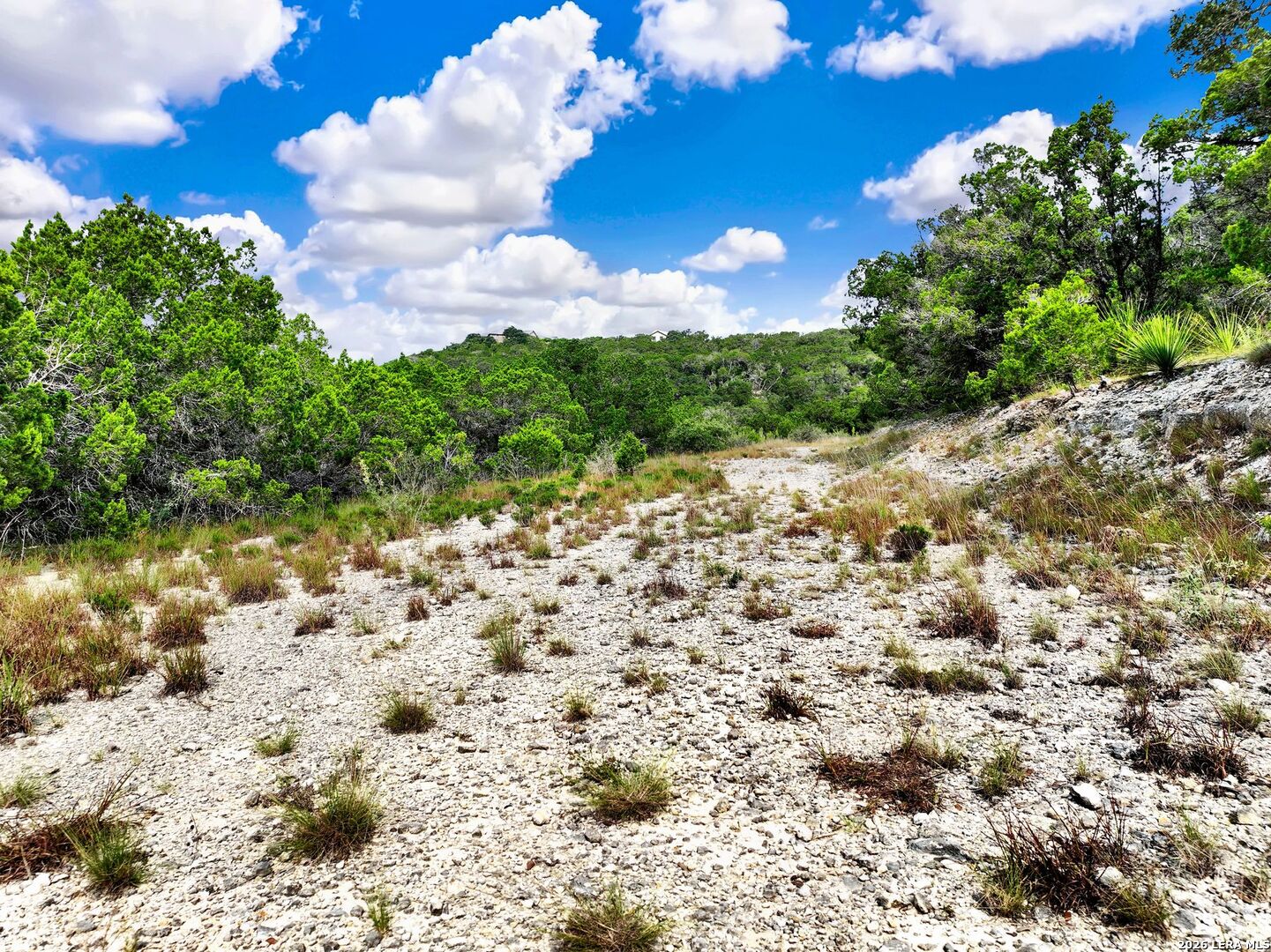 Lot 101 Pr 1712 Mico TX 78056