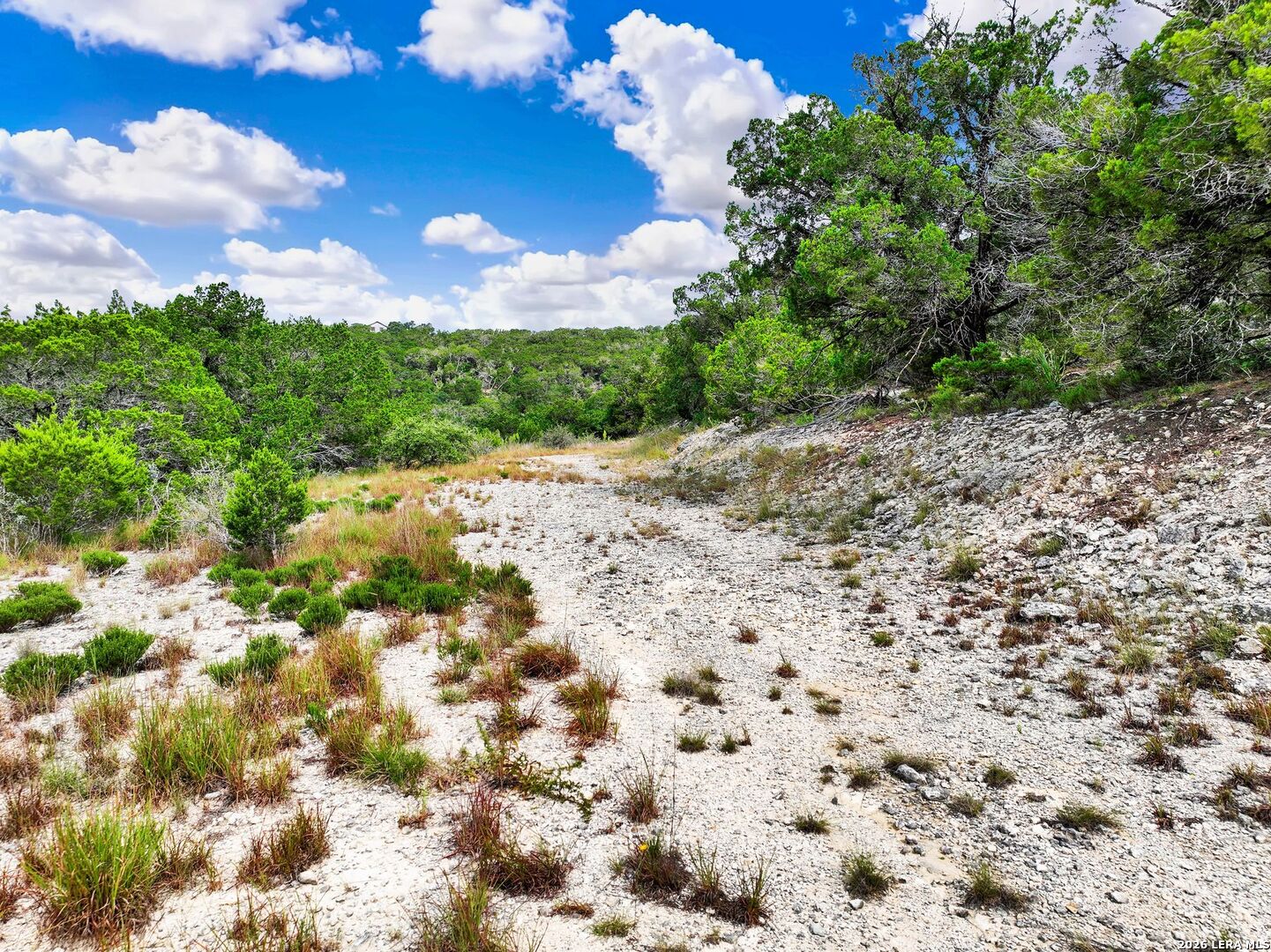 Lot 101 Pr 1712 Mico TX 78056