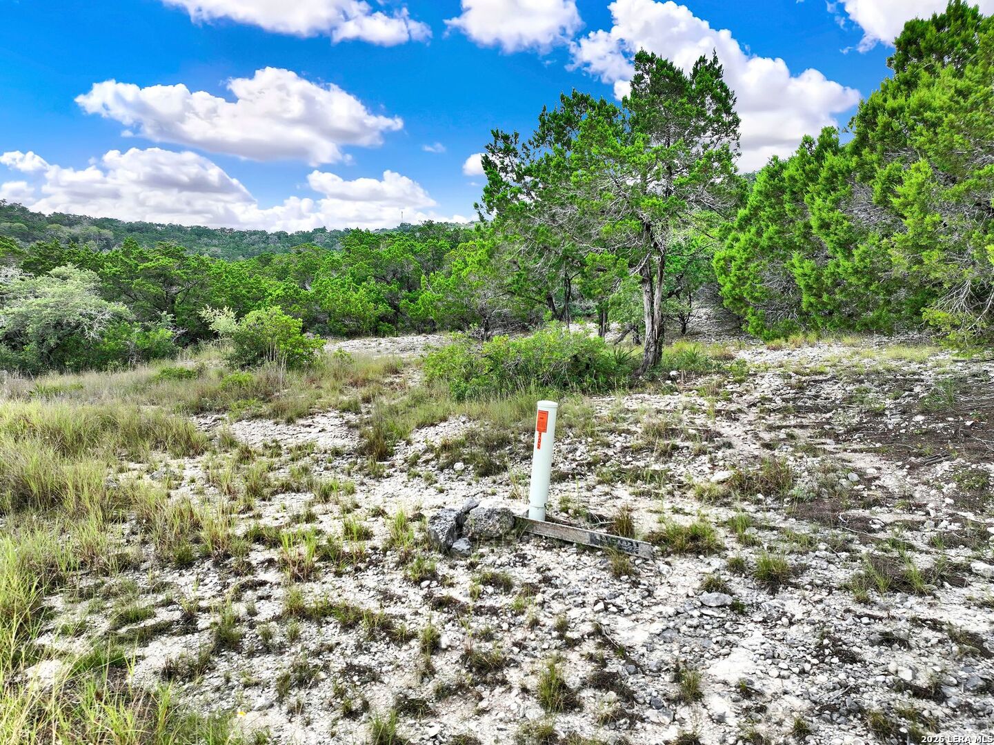 Lot 101 Pr 1712 Mico TX 78056