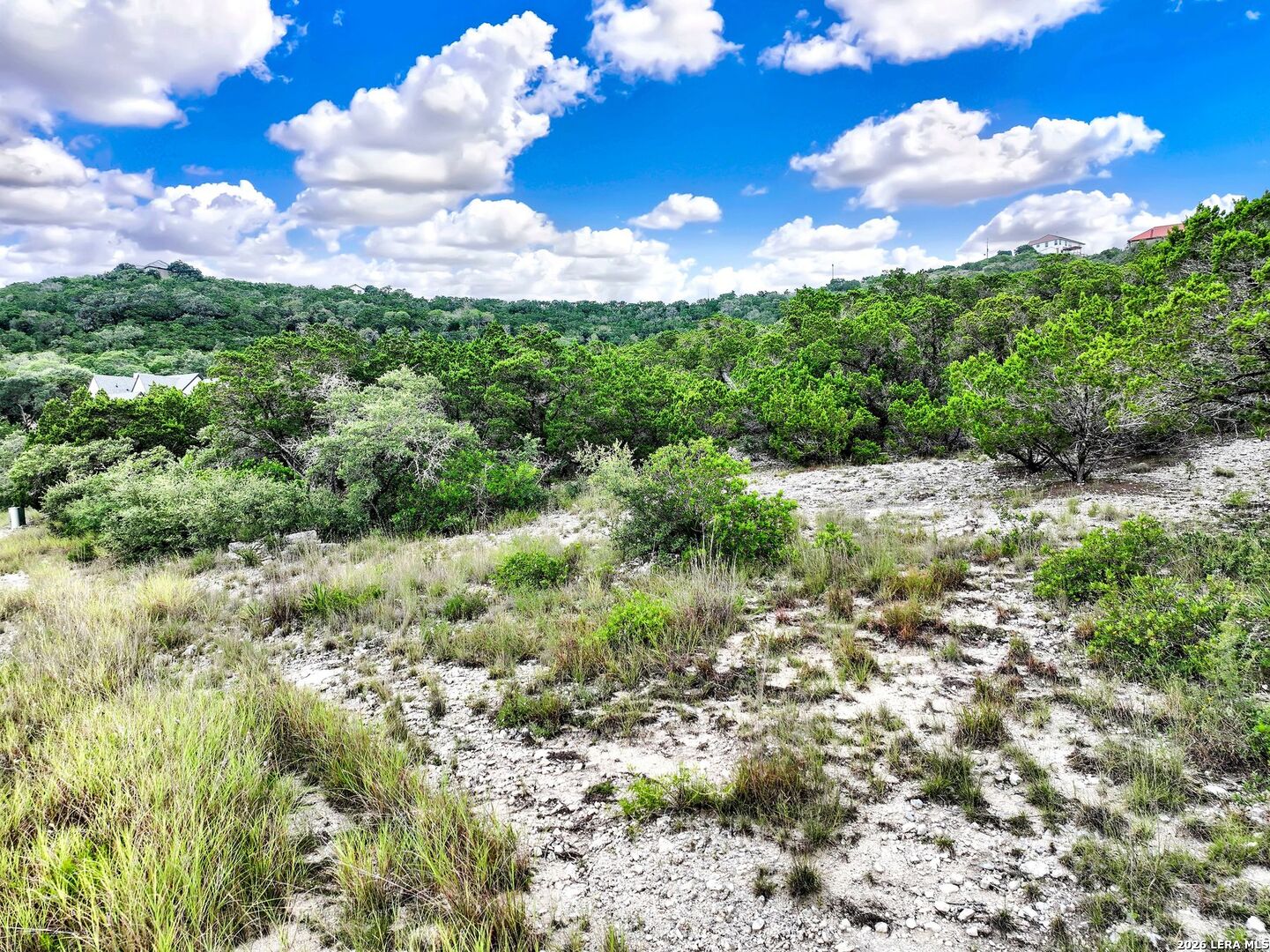 Lot 101 Pr 1712 Mico TX 78056