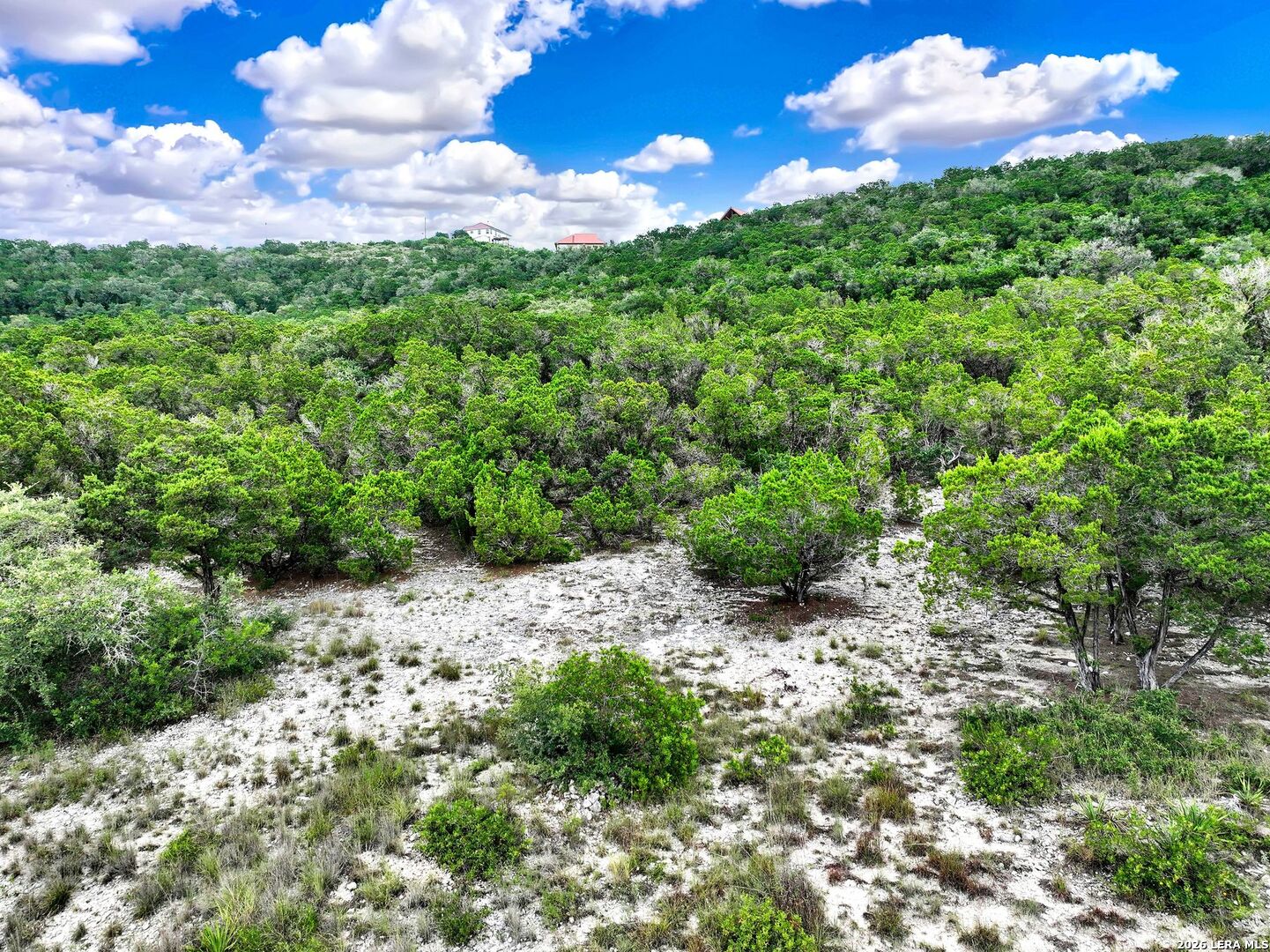Lot 101 Pr 1712 Mico TX 78056