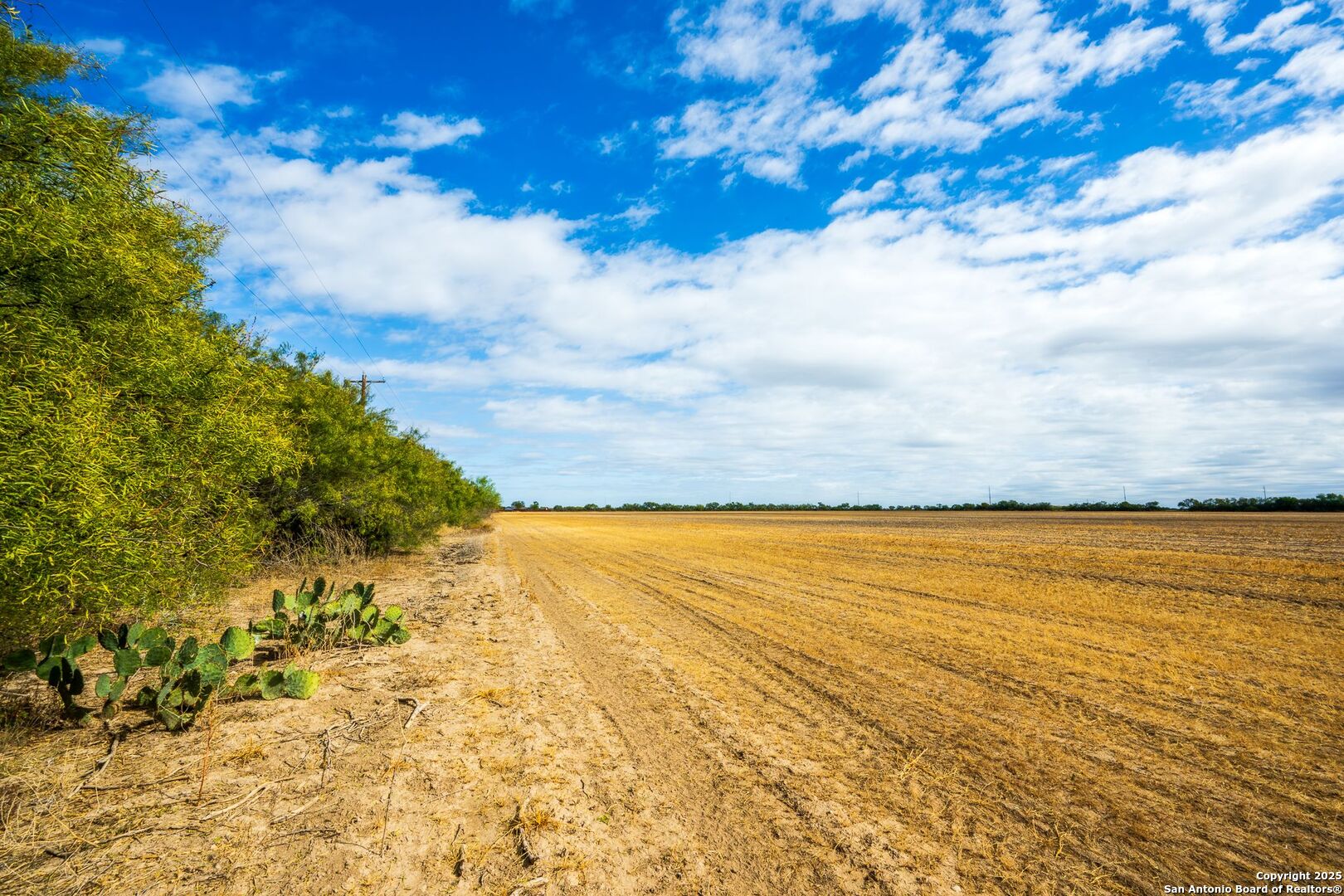 Cr 4013 Cr 4017 W La Pryor TX 78829