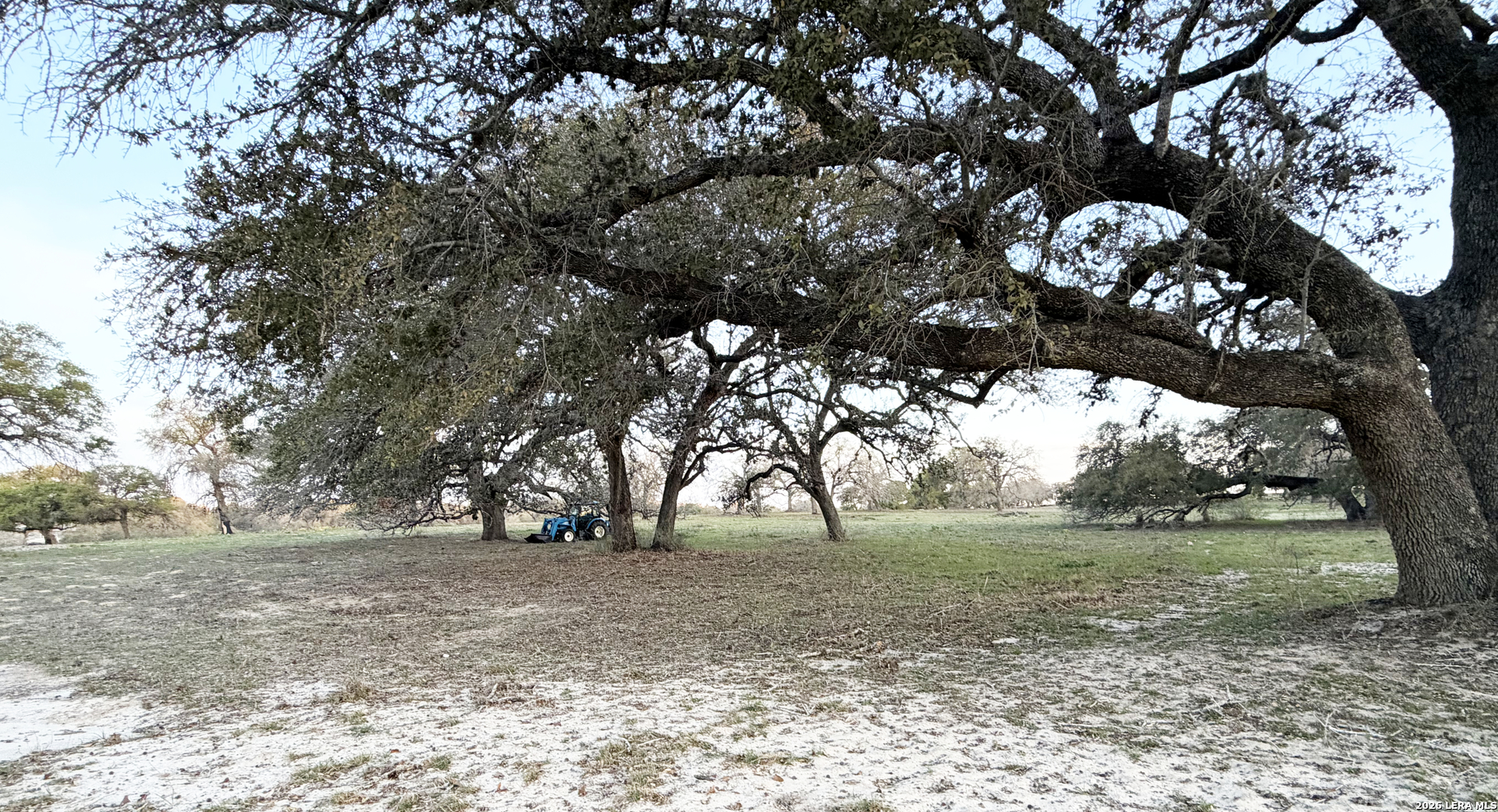 534 Whitetail Drive Adkins TX 78101