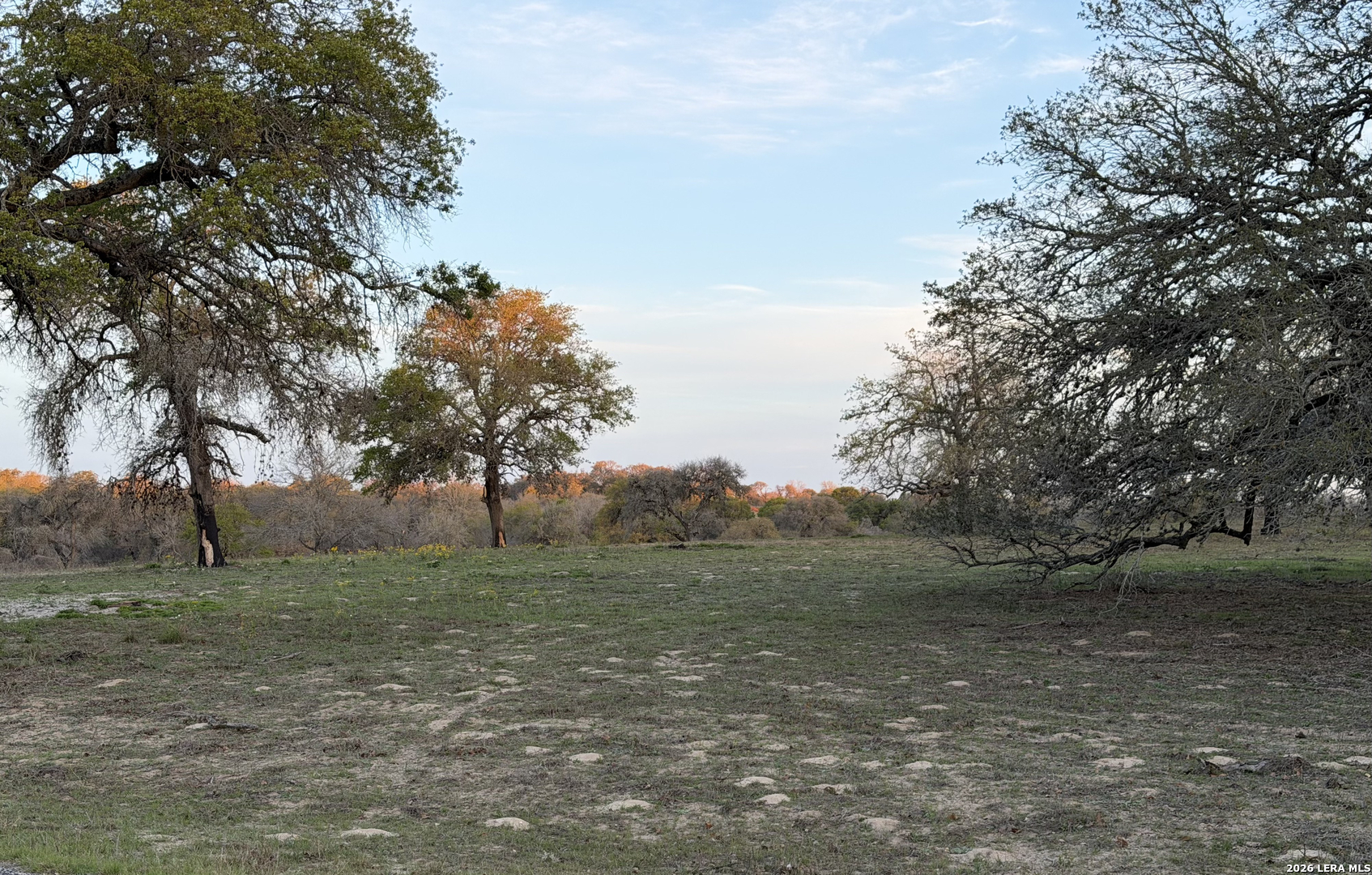 534 Whitetail Drive Adkins TX 78101