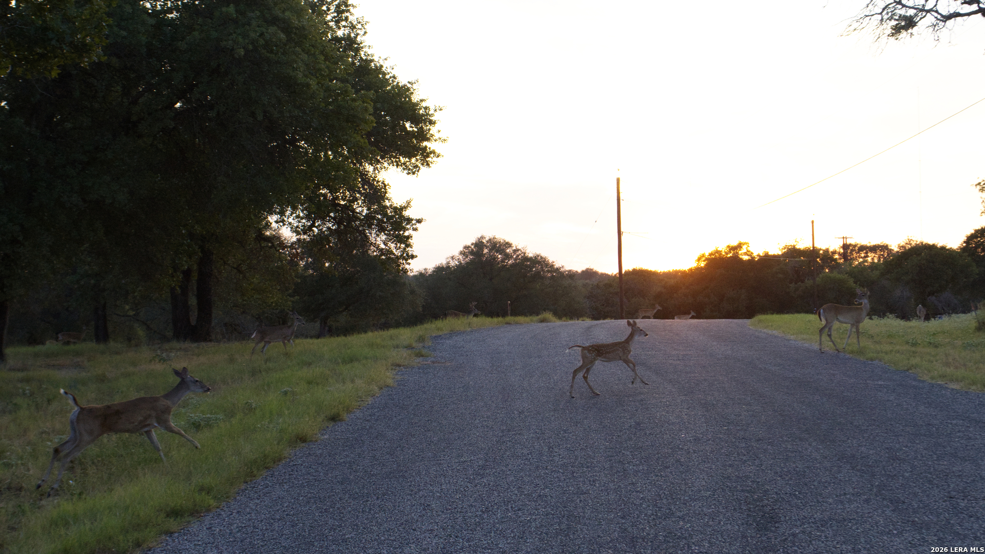 534 Whitetail Drive Adkins TX 78101