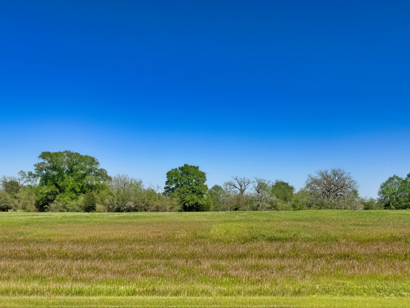 10222 Panther Creek Drive Iola TX 77861