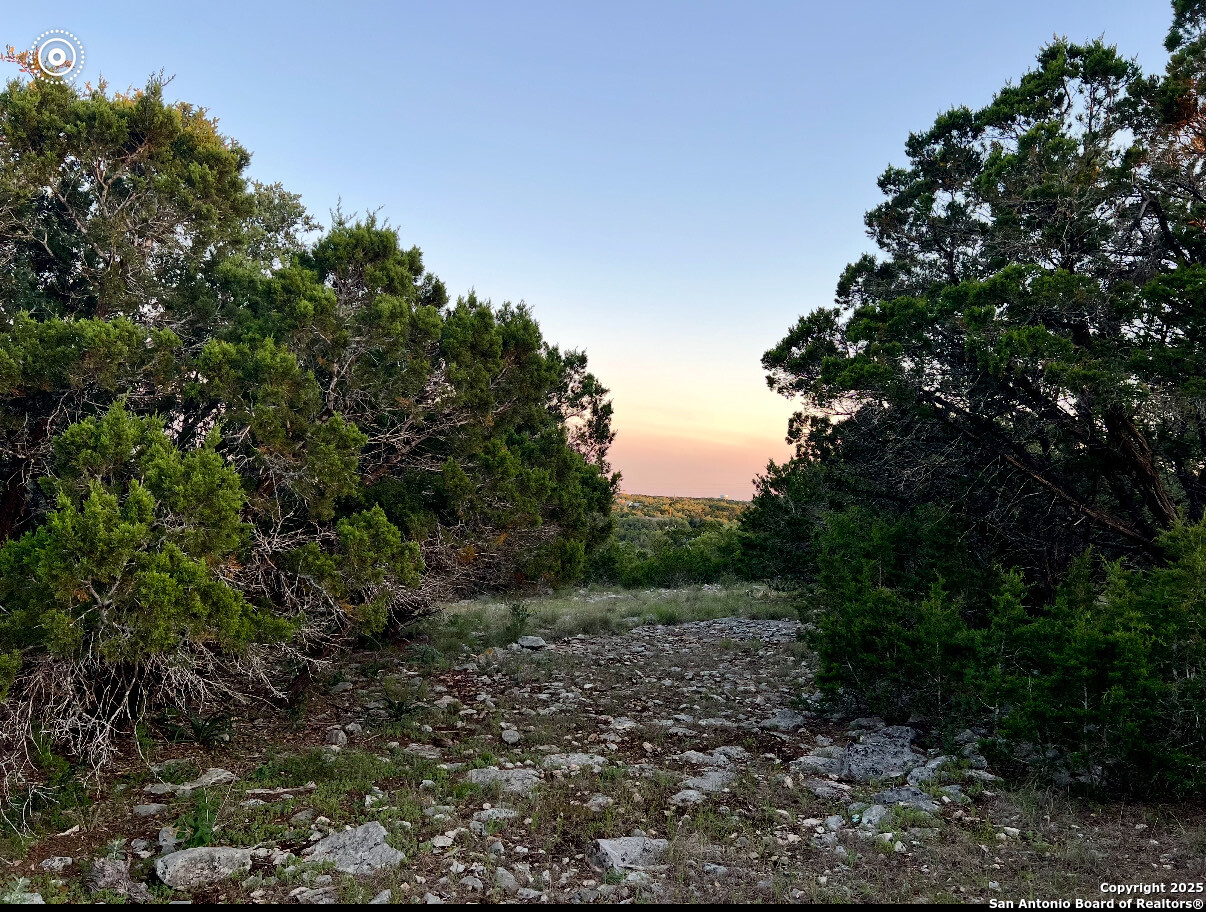 3938 Running Springs San Antonio TX 78261