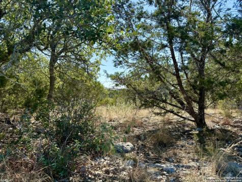 3938 Running Springs San Antonio TX 78261