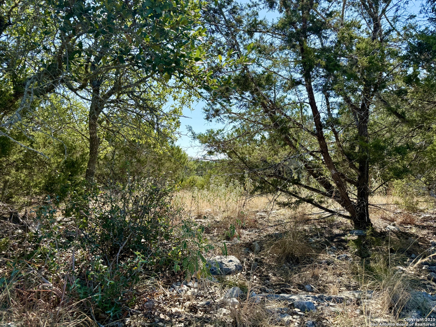 3938 Running Springs San Antonio TX 78261