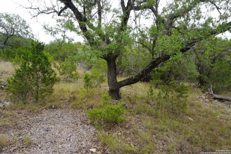 127 Leaders Hill Road Wimberley TX 78676