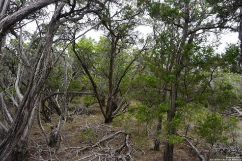 127 Leaders Hill Road Wimberley TX 78676