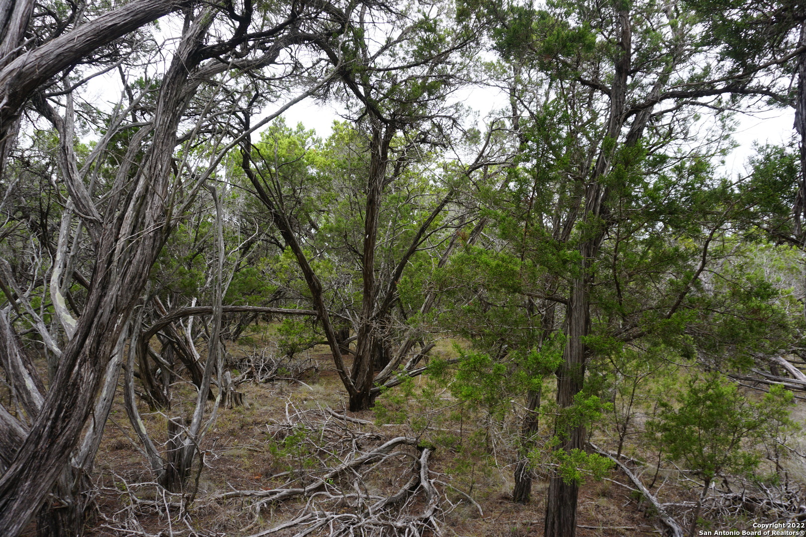 127 Leaders Hill Road Wimberley TX 78676