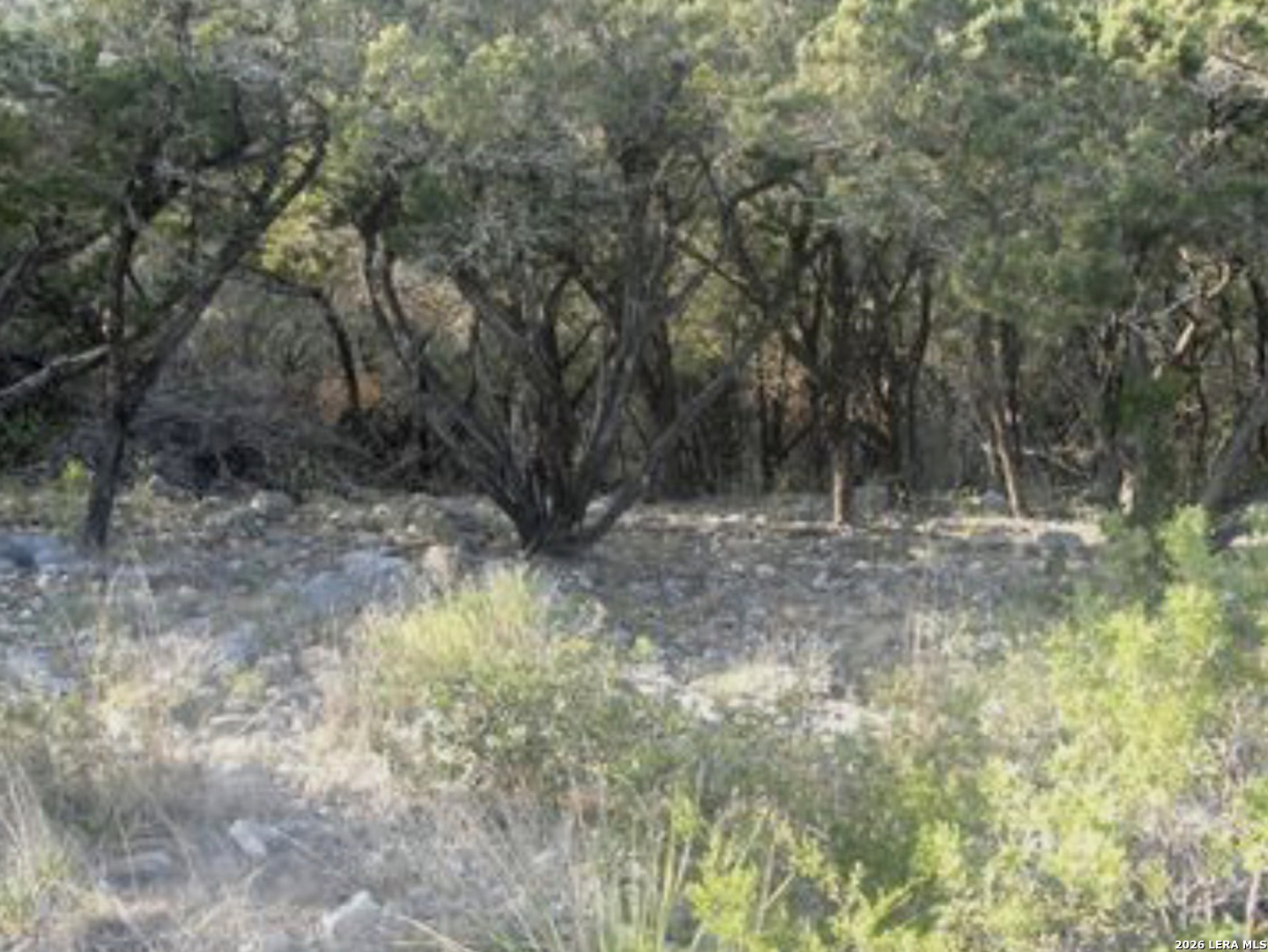 Pr 1718 Lot 42 Pr 1718 Mico TX 78056