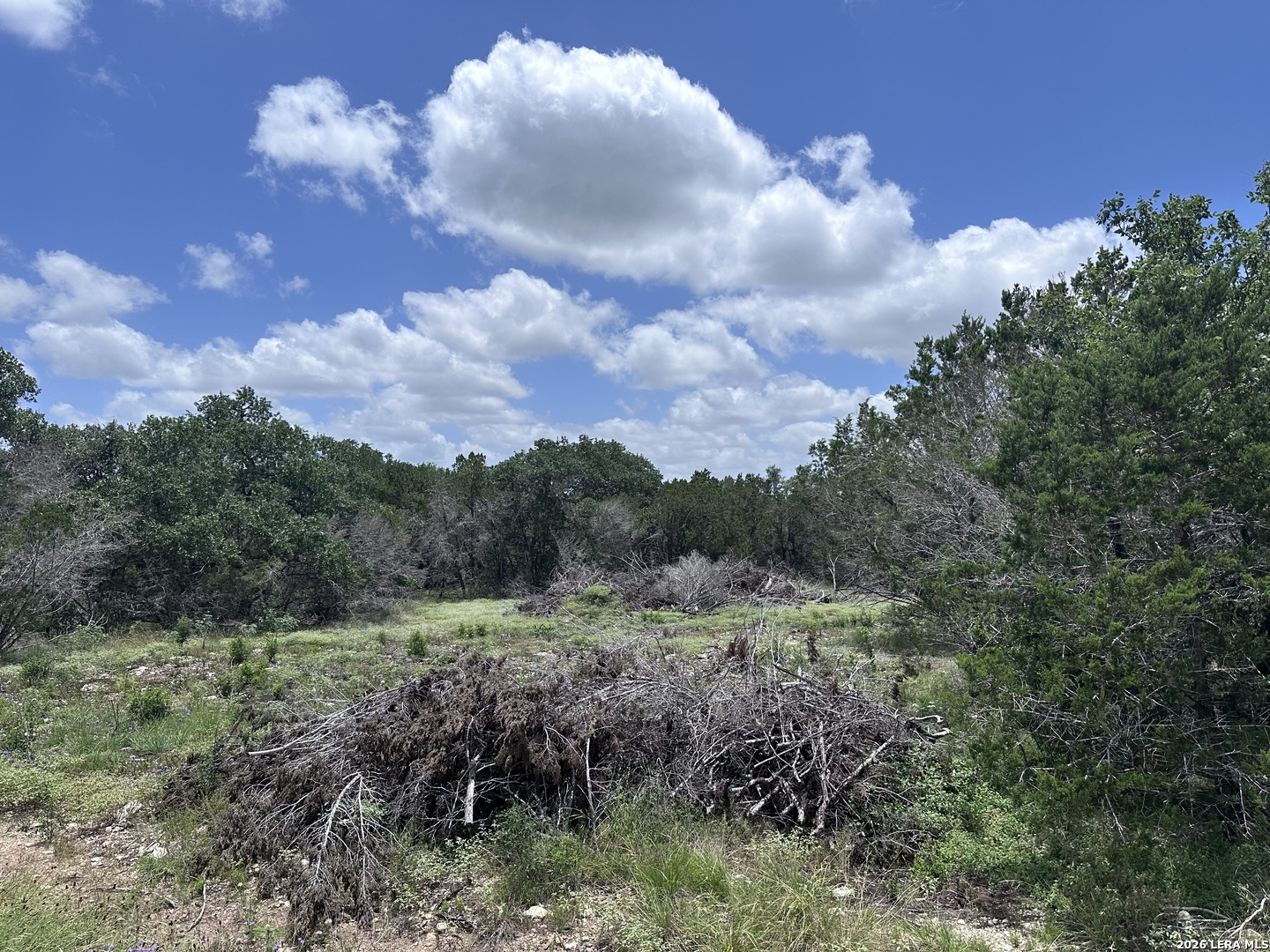947 Serene Park Drive Spring Branch TX 78070